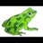 frog000000