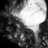 Robs_Amaral