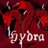 CommanderXHydra