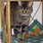 marga_beas