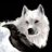 Wolverain_chi25