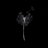 Daniele_9891
