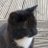 mrhtweets1