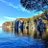 rachel_dorsch