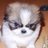 fluffy_pup