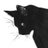 lechat87