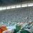 irish_Celt2013