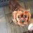 poppyflowergirl