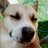 kurama_s_energy