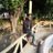 sk_sharma_india