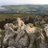 Mark_MorrisN16