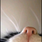 Borreguititito