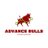 advance_bulls