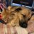 loren_lerouzic