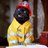 SalemTheCat3141