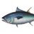 bluefintrades