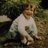 kathryn_revell