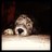 _richardr9