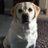 Chris_M_RUFC