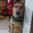 loky2321