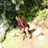 rikinjoshi27