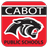 cabotsd