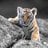 kanna_venkat