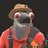 Ultrawing_Vit