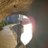 DavidMng17