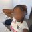 rema_stan