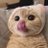 Eric_C_P