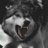 Wofl1705