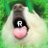 RsrFren