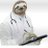 Dr_Slothy85