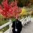 sameer_gulamani