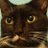 Gato_enojado52