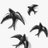 golondrina4576