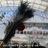 shrikant_208