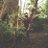 sid_parihar