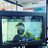 Chaz_js