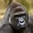 HarambeLul