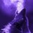 LEGION66520976