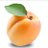 apricotisfruit
