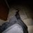 Dylan_13_4