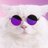 amit_rnx