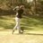 Jdoreilly85