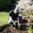 garden_chamber