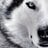 tury_04