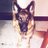 AAsha314