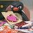 Cherie64463189